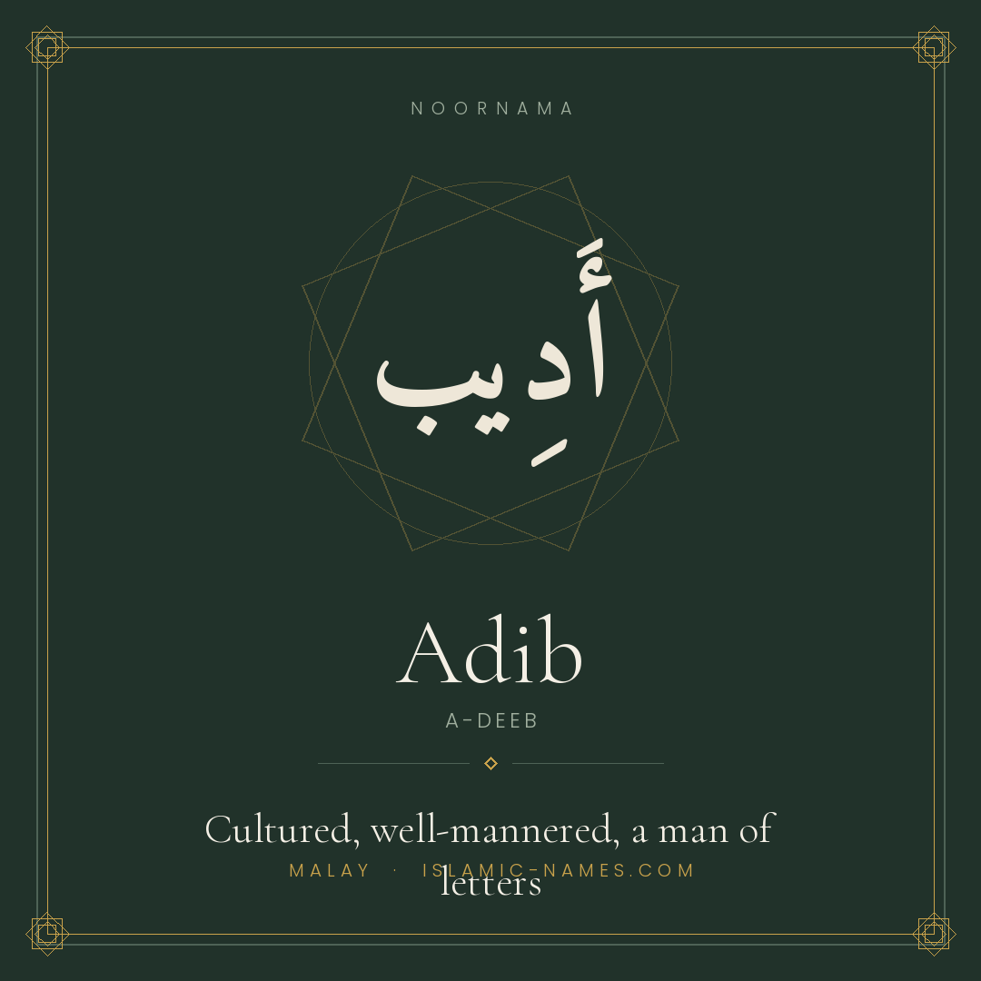 Adib — Islamic Muslim Baby Name, Meaning & Origin | NoorNama