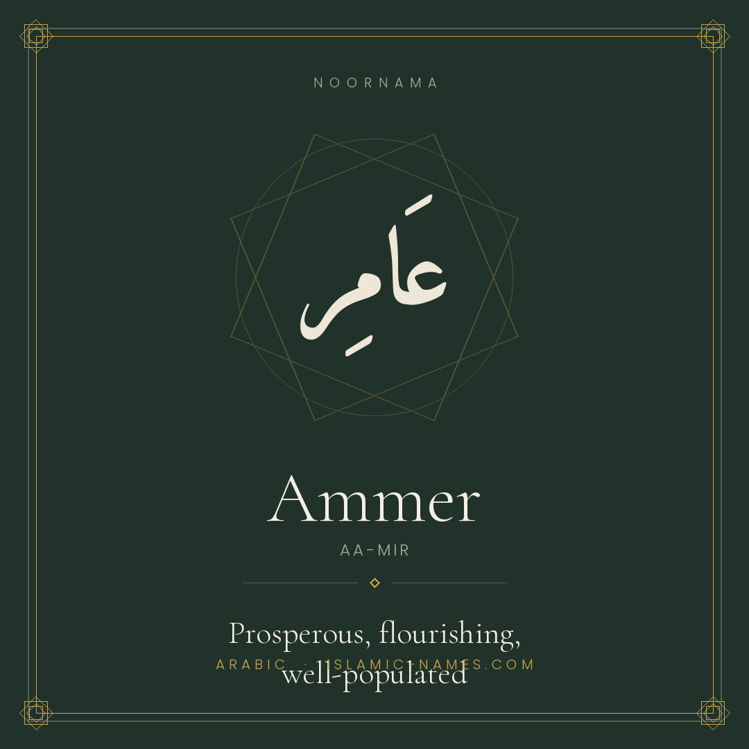 Ammer — Islamic Muslim Baby Name, Meaning & Origin | NoorNama