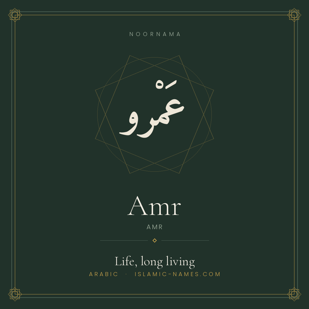 Amr — Islamic Muslim Baby Name, Meaning & Origin | NoorNama