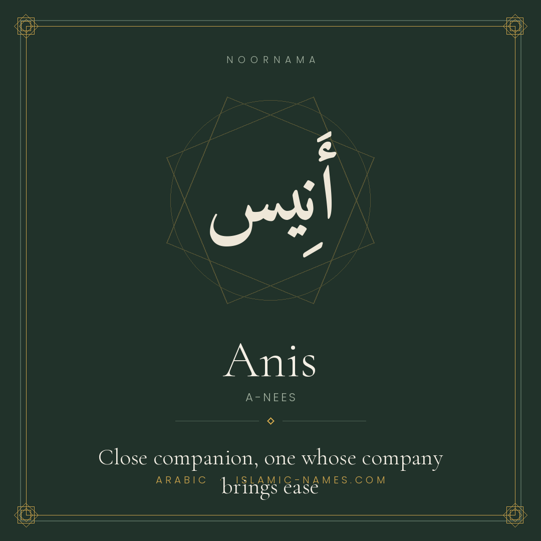 Anis — Islamic Muslim Baby Name, Meaning & Origin | NoorNama