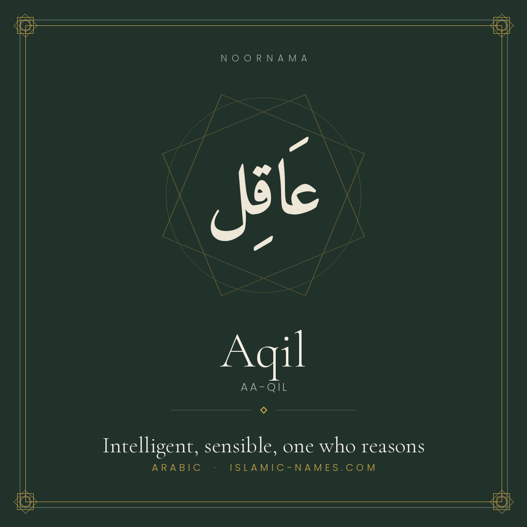 Aqil — Islamic Muslim Baby Name, Meaning & Origin | NoorNama