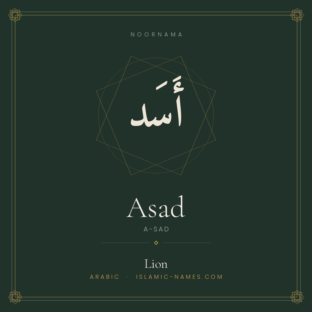 Asad — Islamic Muslim Baby Name, Meaning & Origin | NoorNama