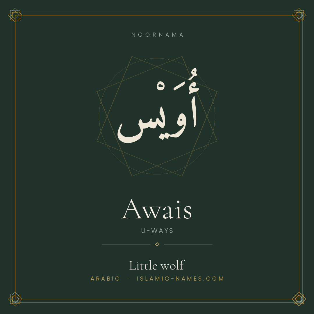 Awais — Islamic Muslim Baby Name, Meaning & Origin | NoorNama