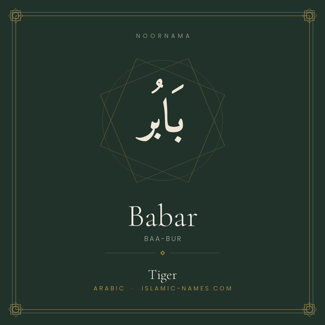 Babar — Islamic Muslim Baby Name, Meaning & Origin | NoorNama