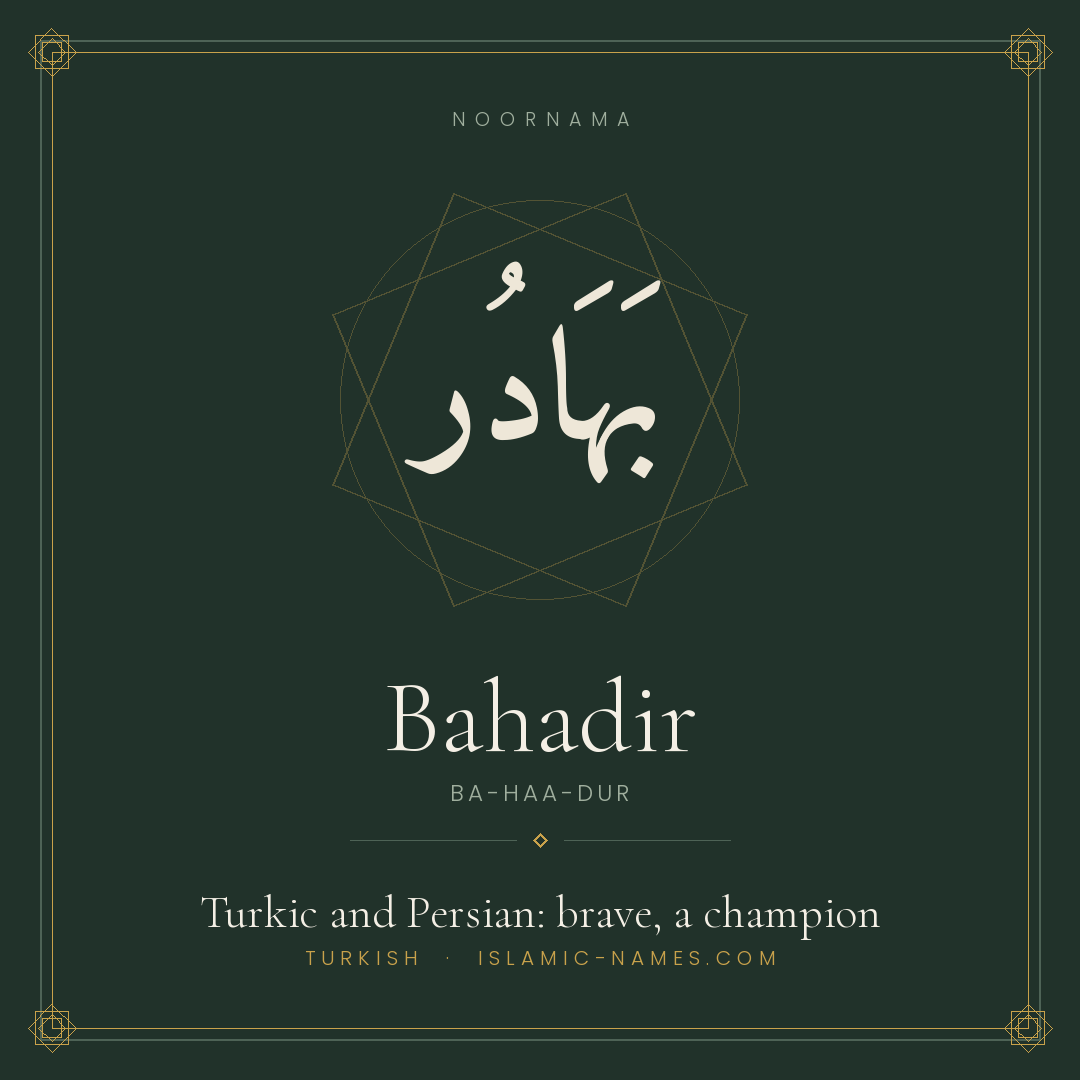 Bahadir — Islamic Muslim Baby Name, Meaning & Origin | NoorNama