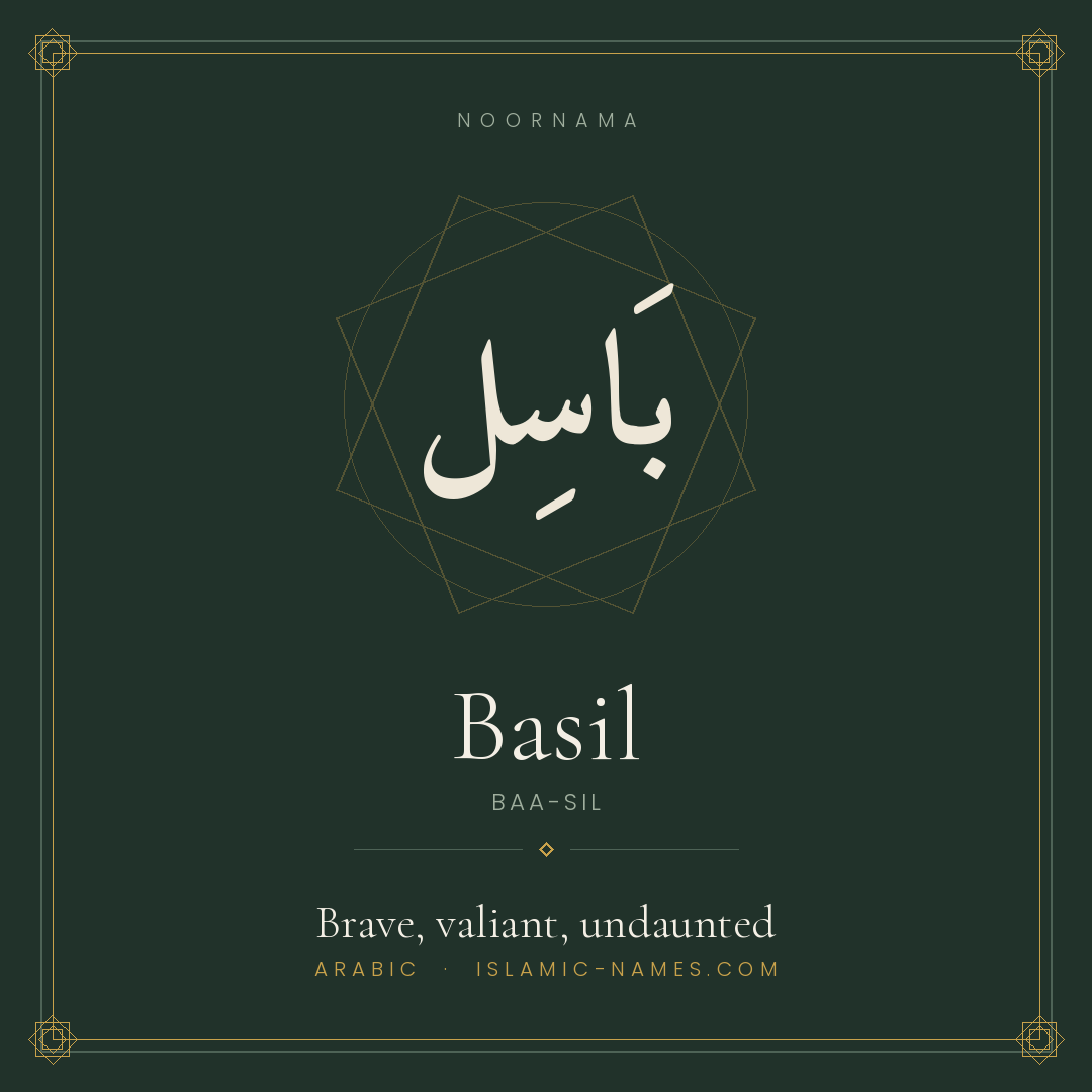 Basil — Islamic Muslim Baby Name, Meaning & Origin | NoorNama