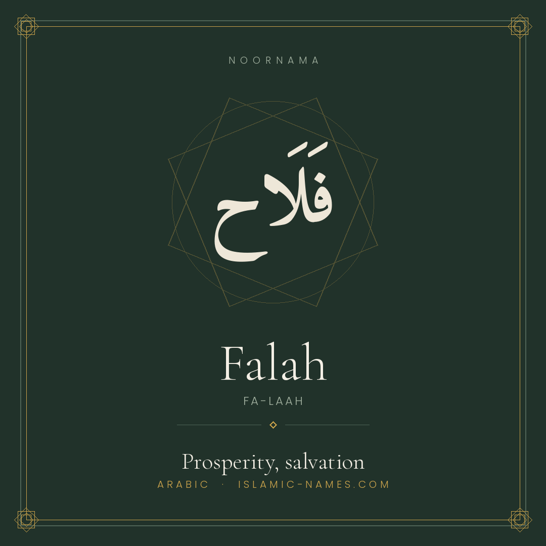 Falah — Islamic Muslim Baby Name, Meaning & Origin | NoorNama