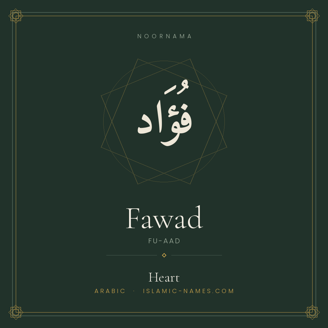 Fawad — Islamic Muslim Baby Name, Meaning & Origin | NoorNama