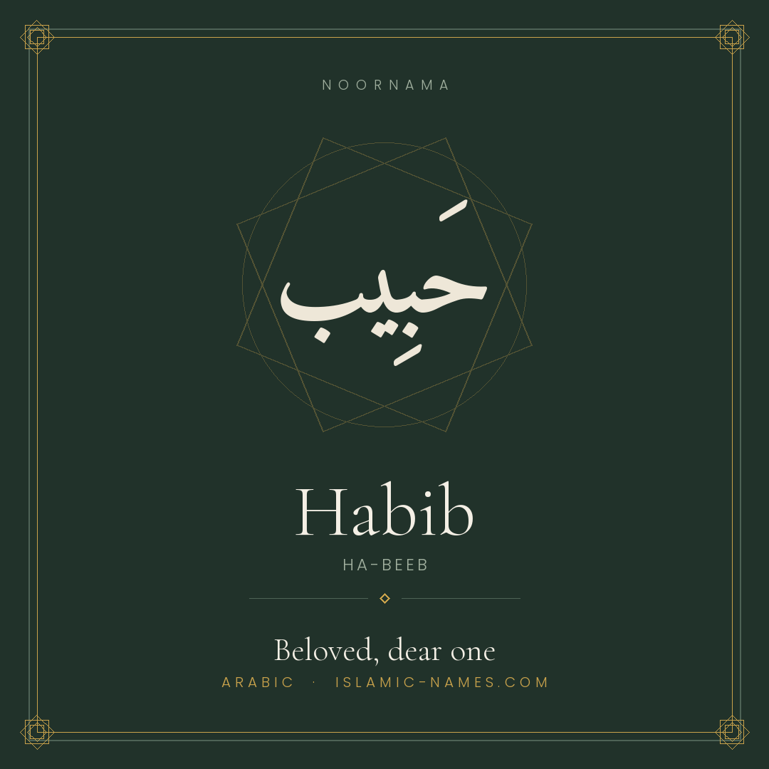 Habib — Islamic Muslim Baby Name, Meaning & Origin | NoorNama