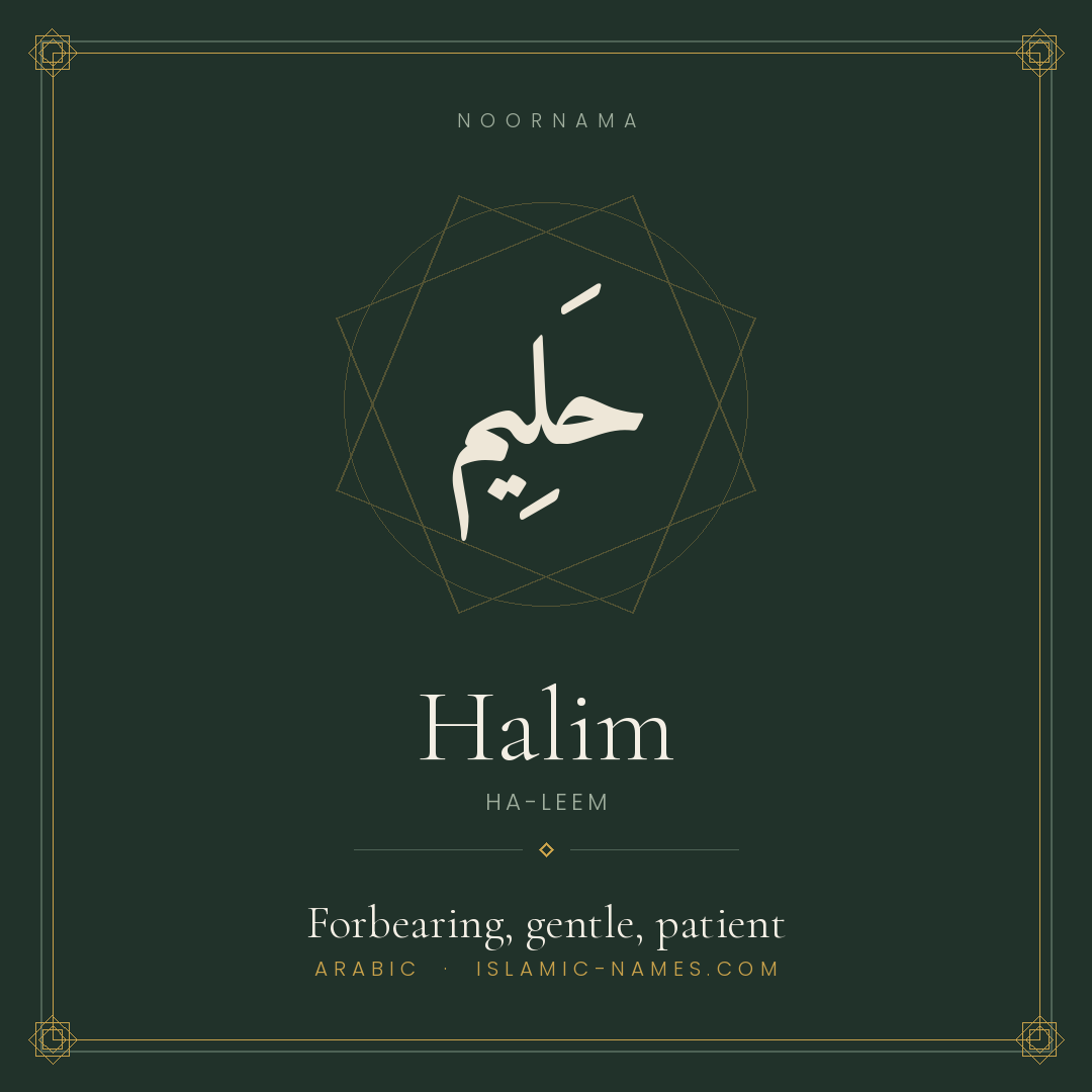 Halim — Islamic Muslim Baby Name, Meaning & Origin | NoorNama