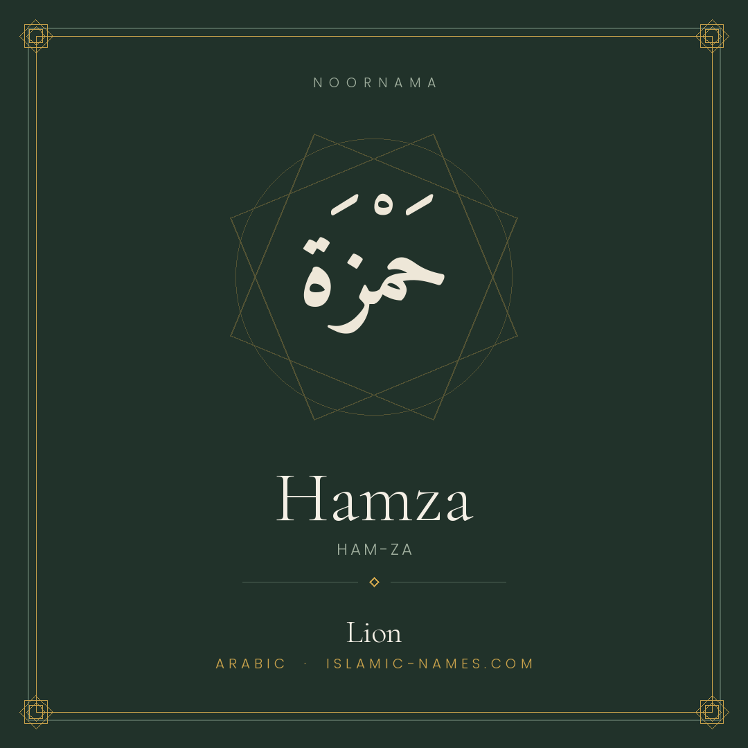 Hamza — Islamic Muslim Baby Name, Meaning & Origin | NoorNama