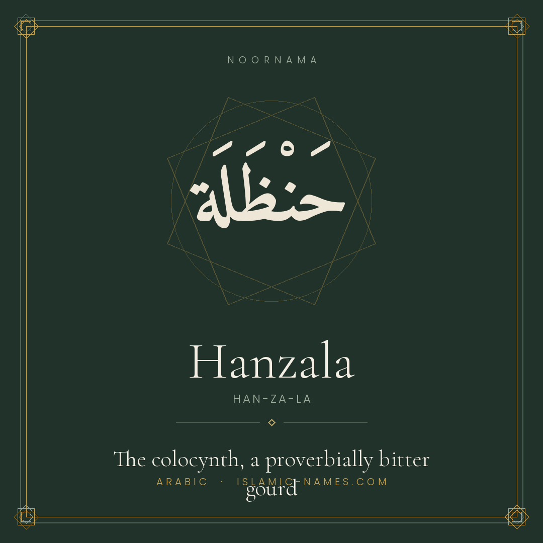 Hanzala — Islamic Muslim Baby Name, Meaning & Origin | NoorNama