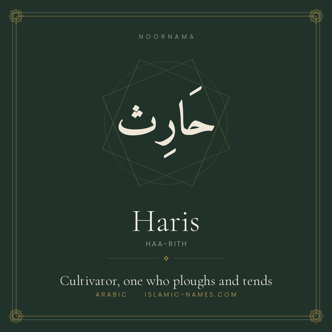 Haris — Islamic Muslim Baby Name, Meaning & Origin | NoorNama