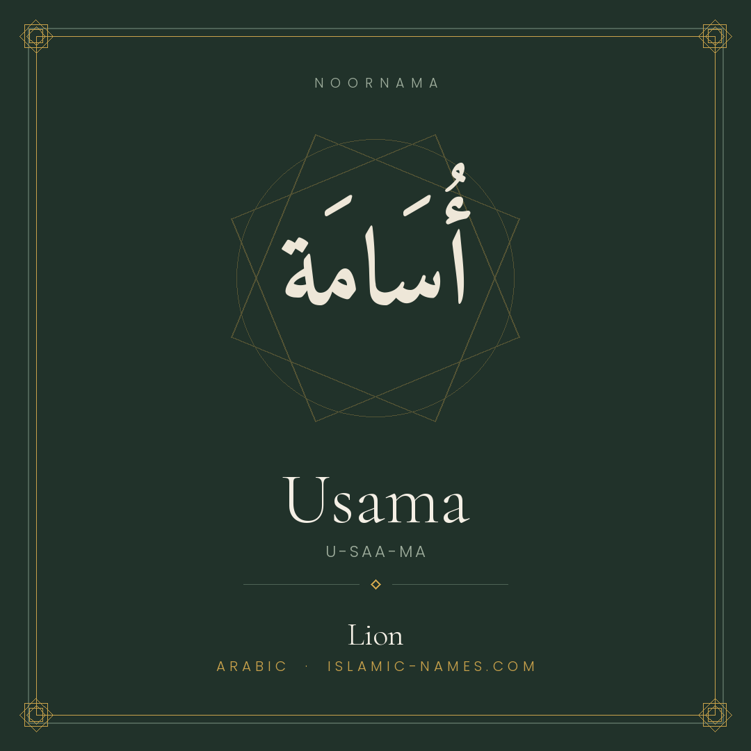 Usama — Islamic Muslim Baby Name, Meaning & Origin | NoorNama